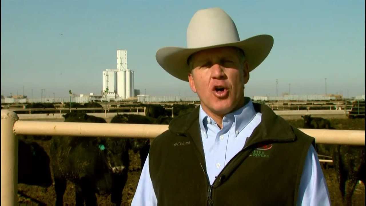 I Am Angus: Tom Brink, JBS Five Rivers Cattle Feeding