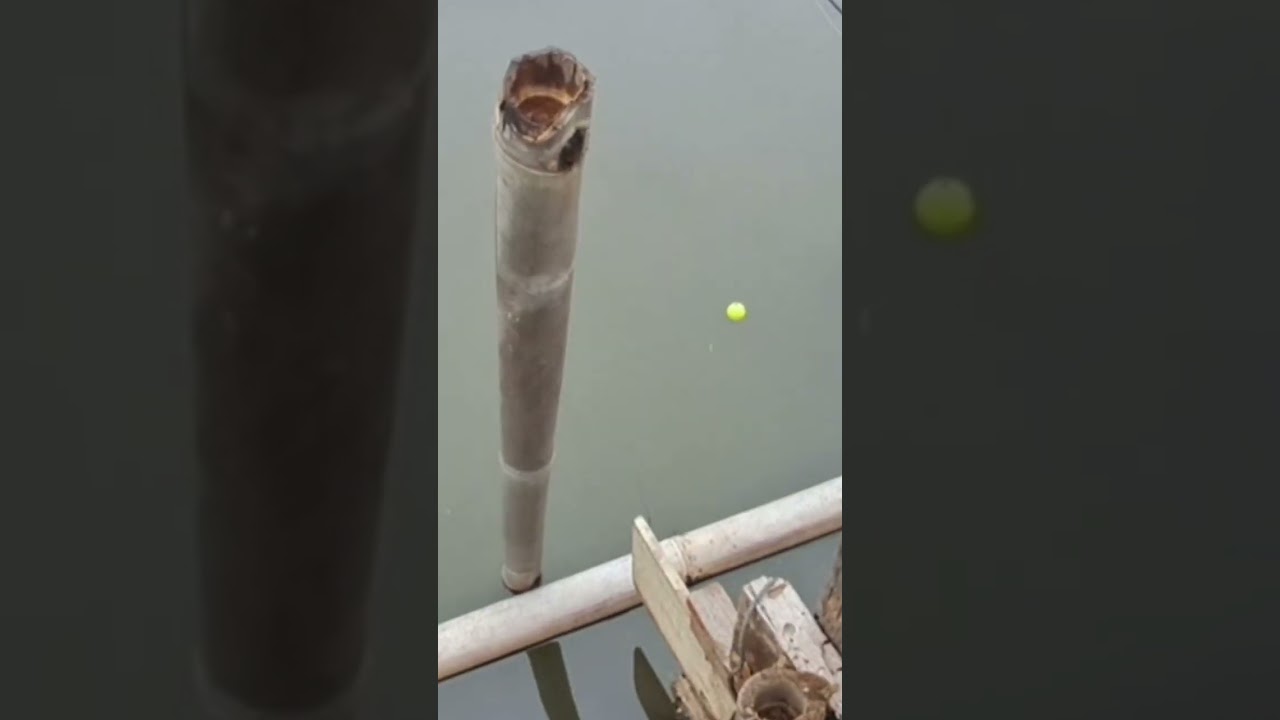 Strike kakap putih dipintu air..!!