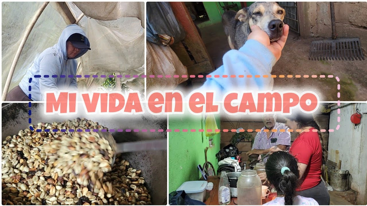 MIS LABORES EN LA FINCA (SOY MUY FELIZ AQUÍ)♥️