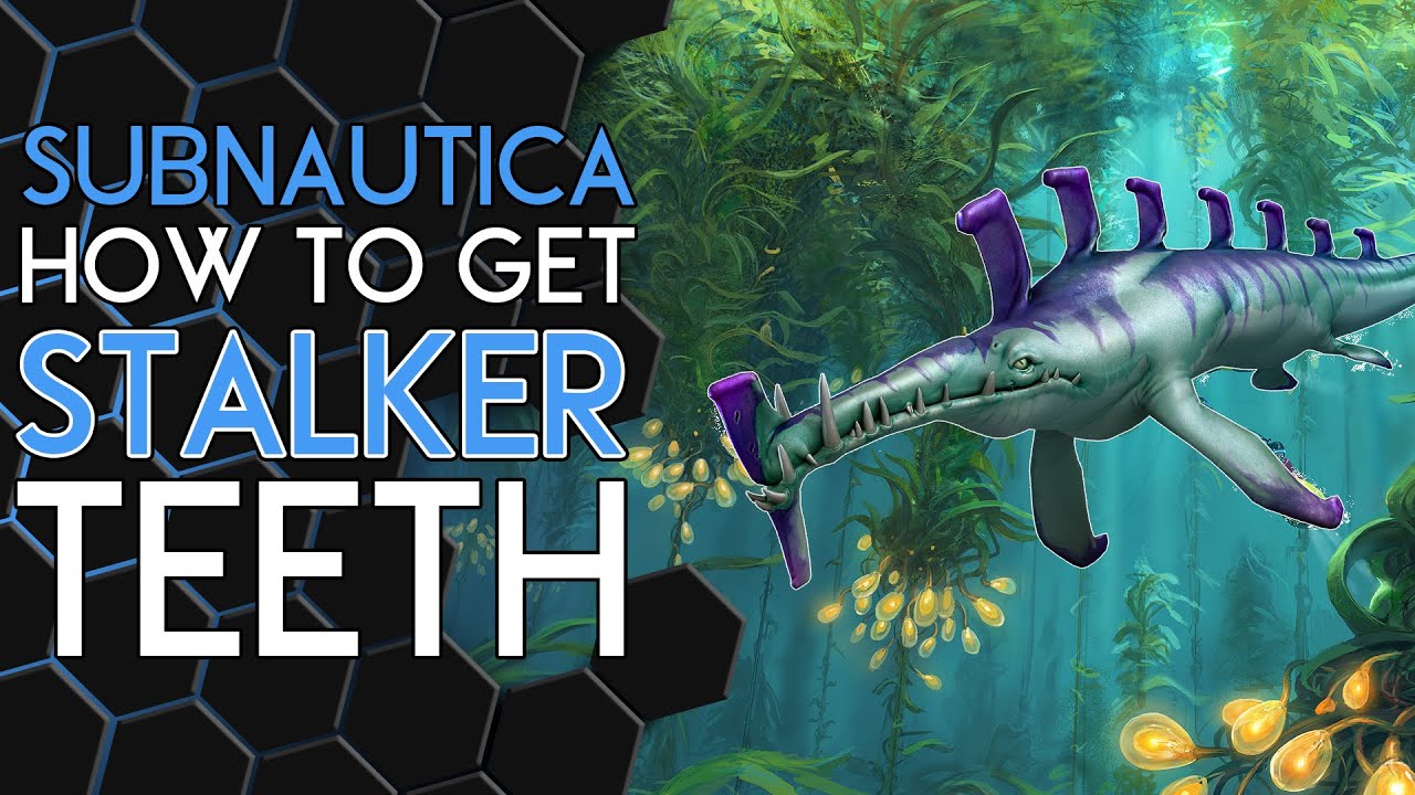 How to get Stalker Teeth in SUBNAUTICA!