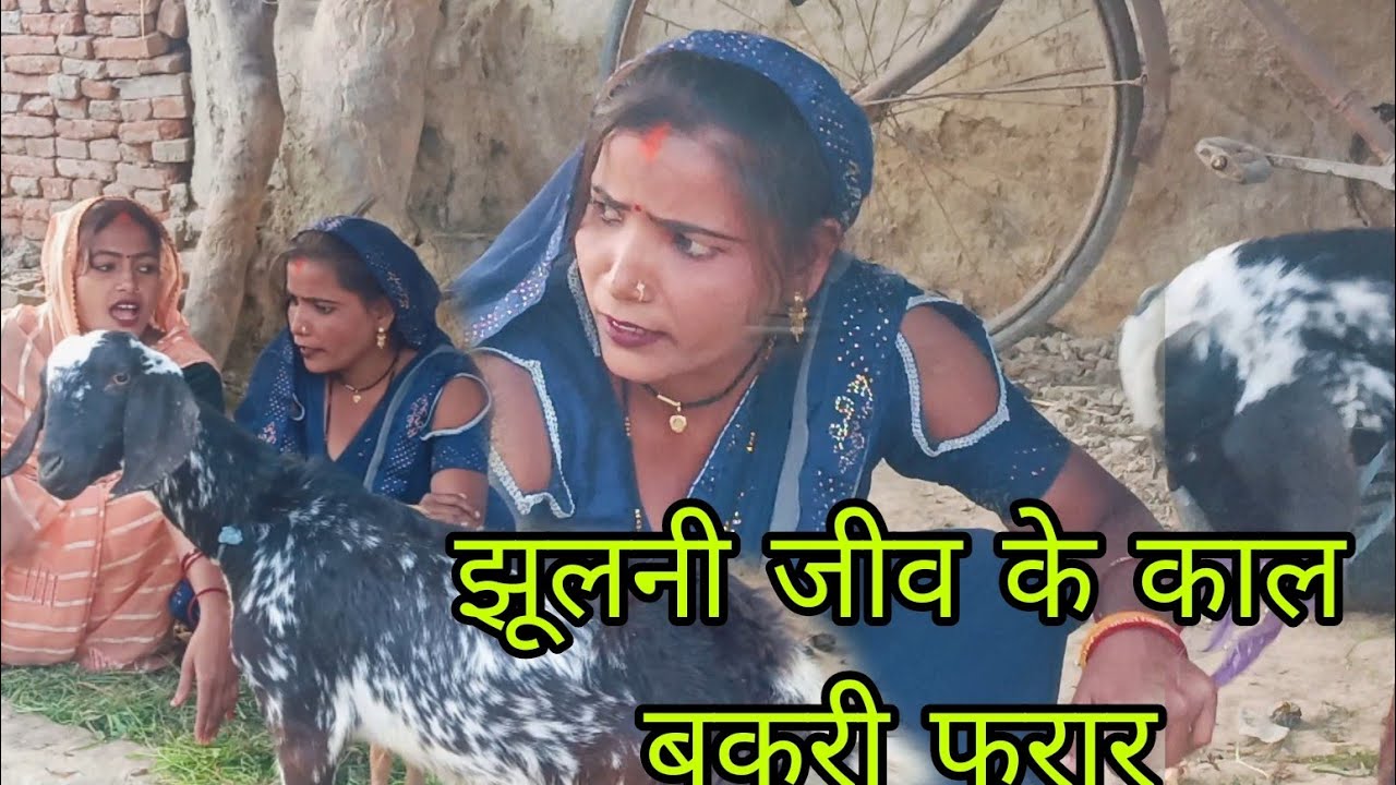 झुलनी जीव के काल बकरी फरार|avadhi comedy Sushila jaunpuriya 🤣🥰🤣🤣🤣🤗🤣🤣