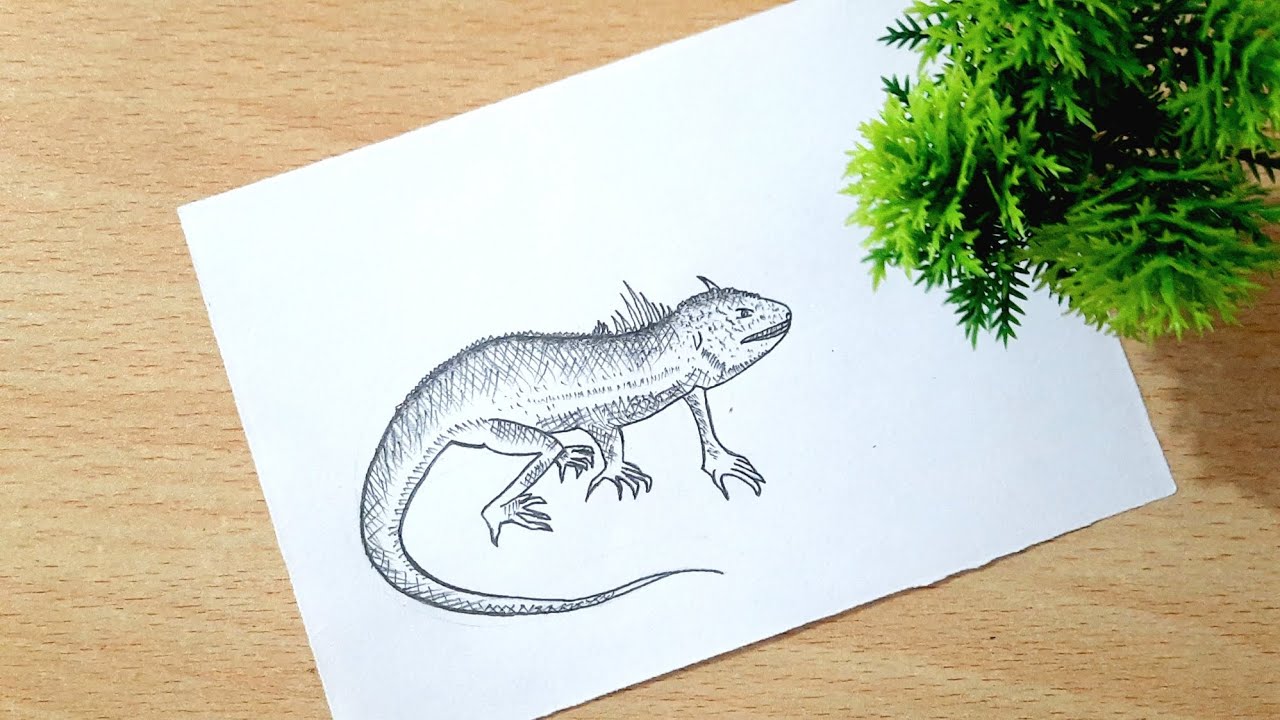 How to draw a Calotes (Garden -lizard) step by step