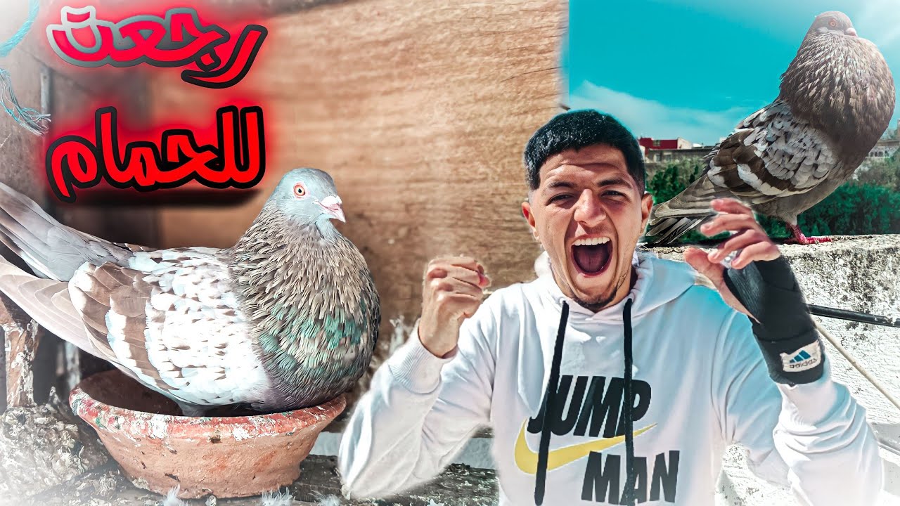كيفاش لقيت الحمام 🤫 من بعد ما جيت من السفر 😱