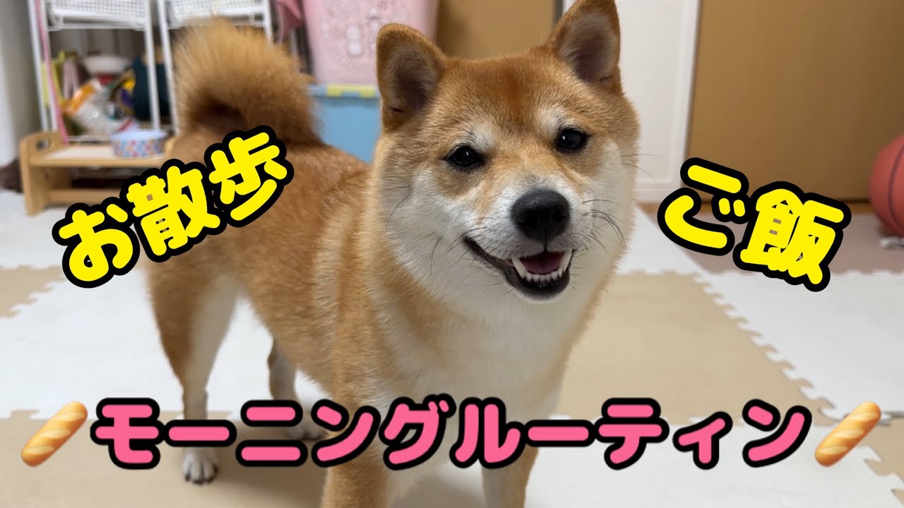 【密着】朝から尊い…！