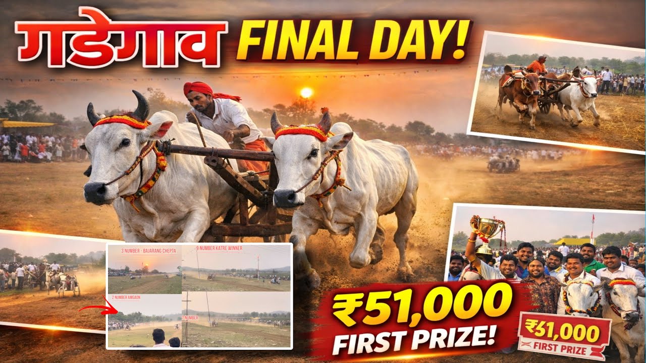 गडेगाव शंकर पट – ₹51,000 पहिला नंबर | 1 ते 10 जबरदस्त बैलजोड्या