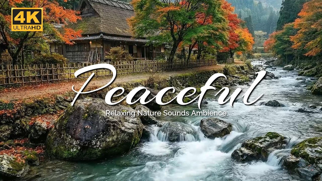 The Most Peaceful Village in Japan 🇯🇵 Autumn River & Thatched Roof House 4K