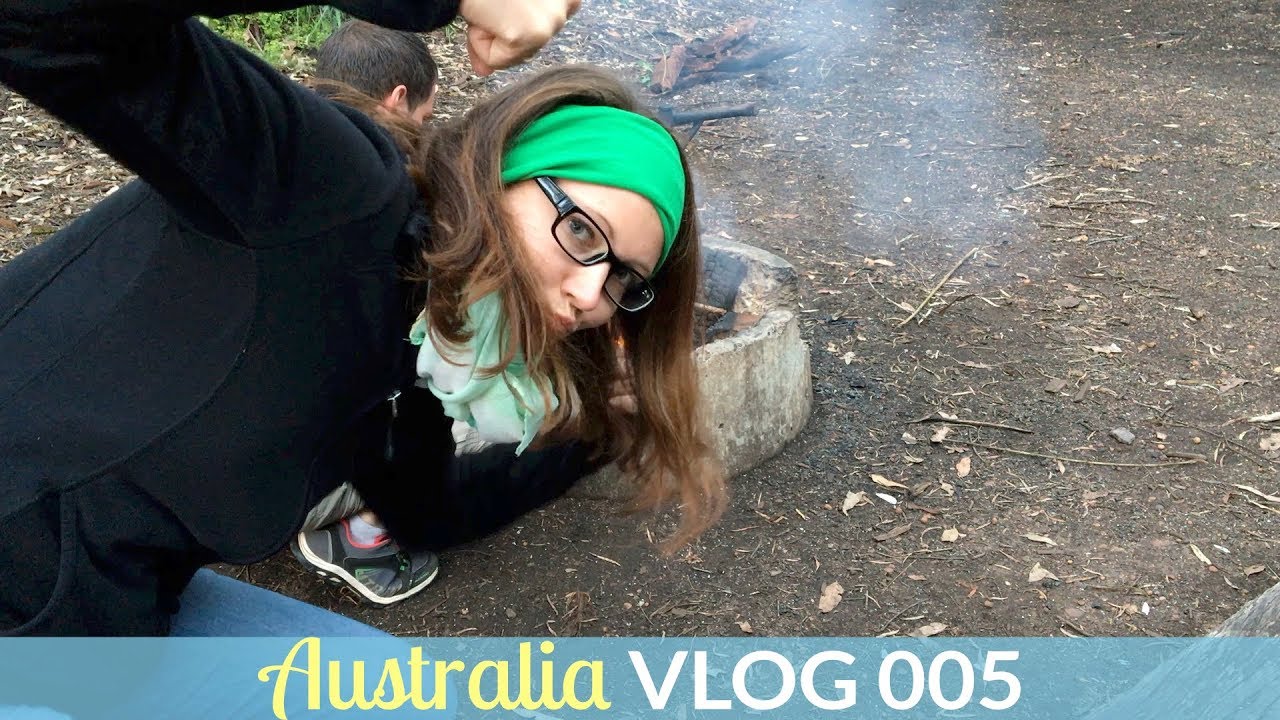 HAVE A BREAK, SEE A DOLPHIN | AustraliaVLOG - Episode 005