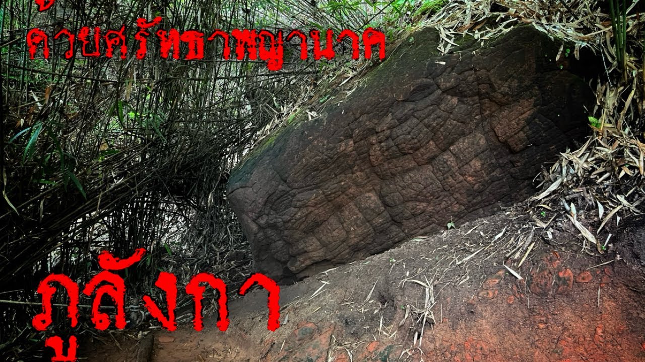 ถ้ำนาคา ด้วยศรัทธาพญานาค