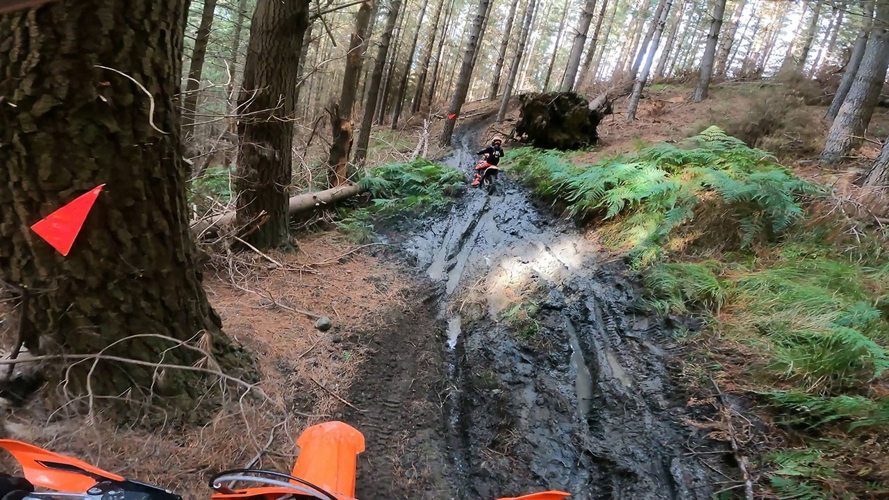 Hawarden Forest Trail Ride, Canterbury, New Zealand, 13 July 2025