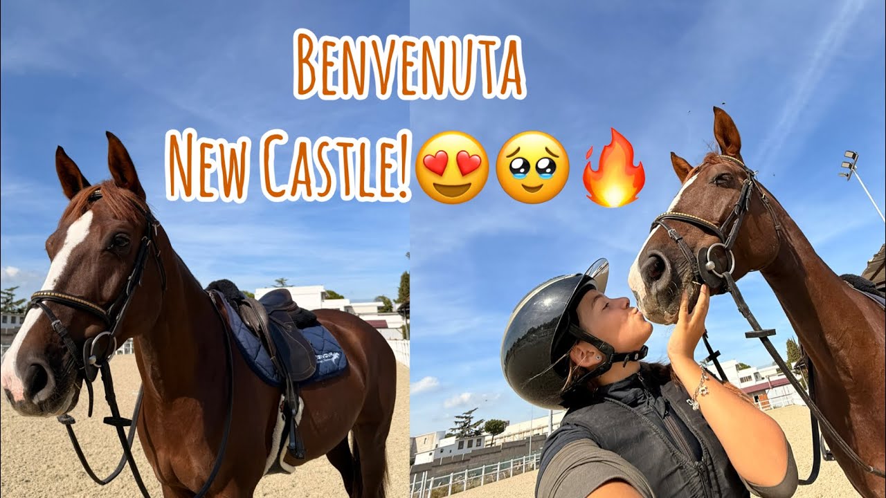 Nuova cavallina in famiglia! Non vedo l’ora di conoscerla meglio🧡🥹
