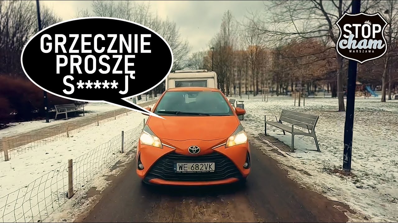 17 Potrącenie w parku