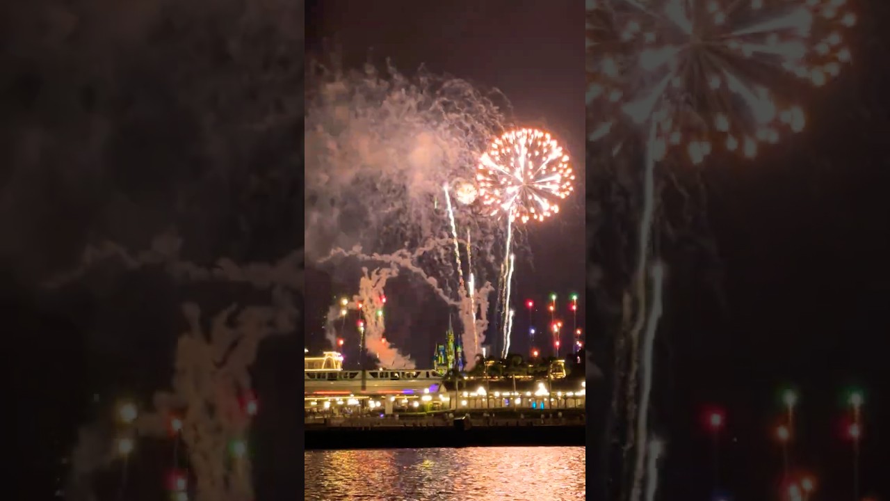 Fireworks Cruise Magic: Happily Ever After Show! ✨🚤 