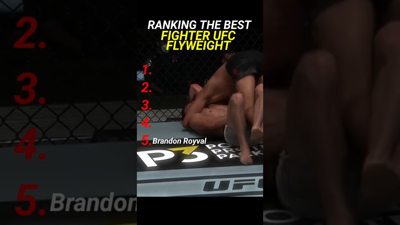 RANKING THE BEST Fighter UFC Flyweight #reels #ufc #mma