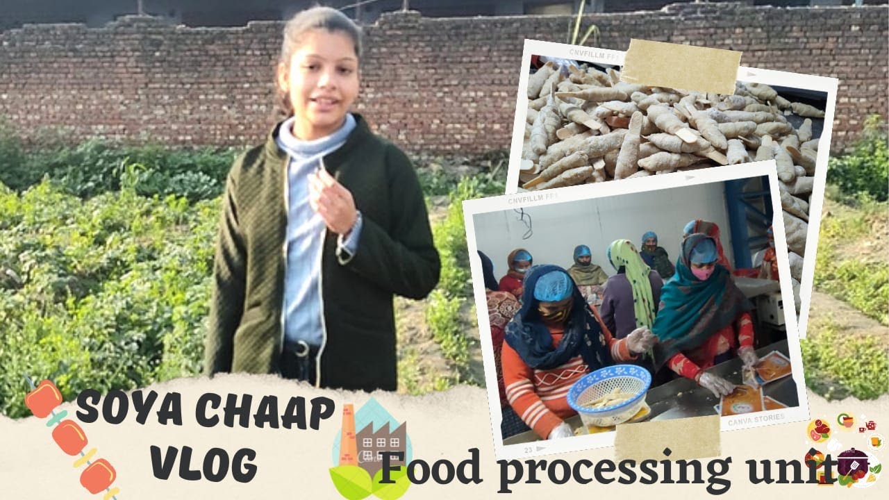Manufacturing & Processing Of Soya Chaap || Centurion Agro Frozen || Food Processing Unit || Bijnor