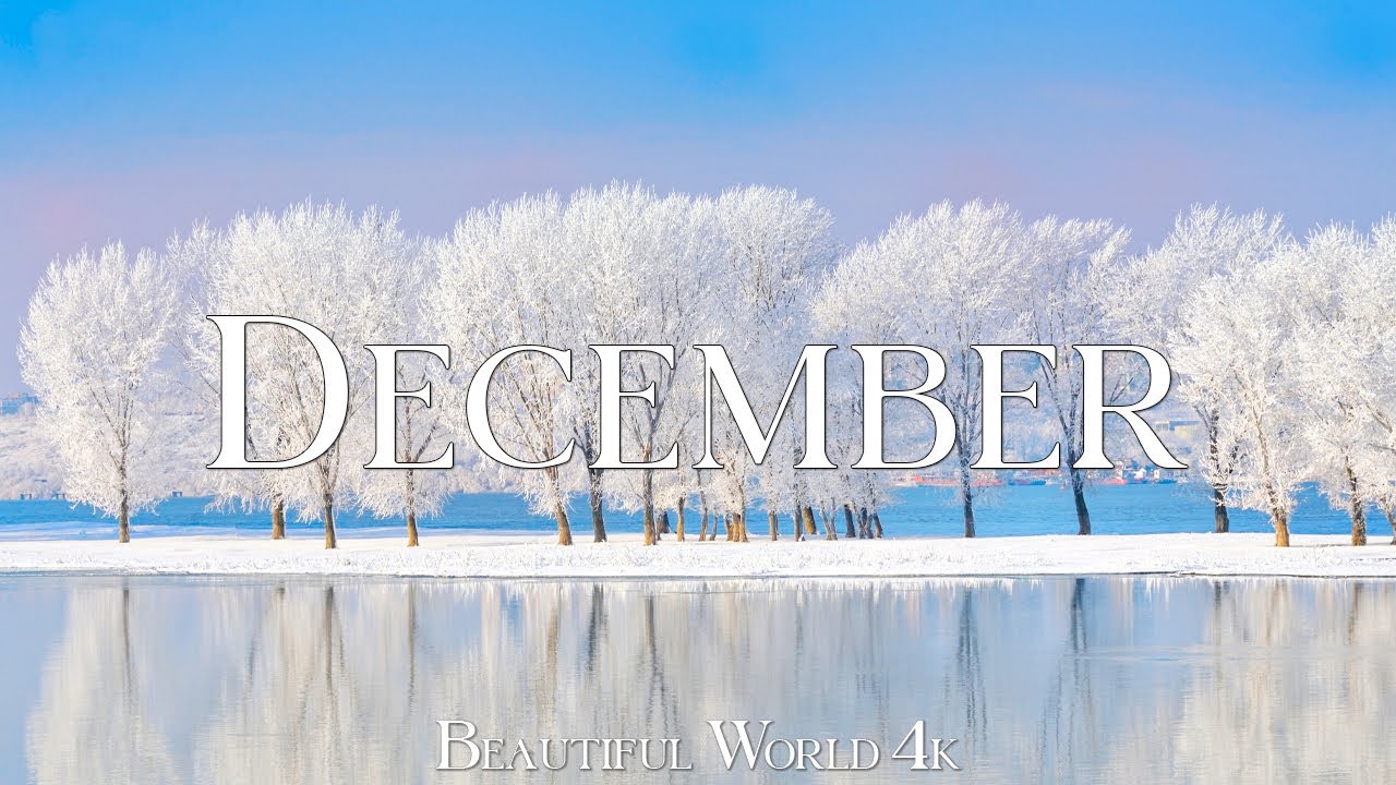4K Beautiful Winter in December ❄️ Peaceful Snow Landscapes with Cozy Vibes & Relaxing Music