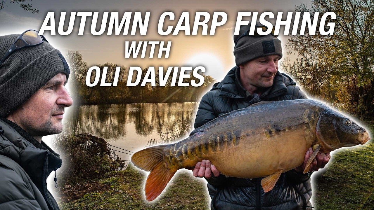 Autumn Carp Fishing | Oli Davies | Proactive & Reactive fishing to Catch More Carp | Barham Lakes