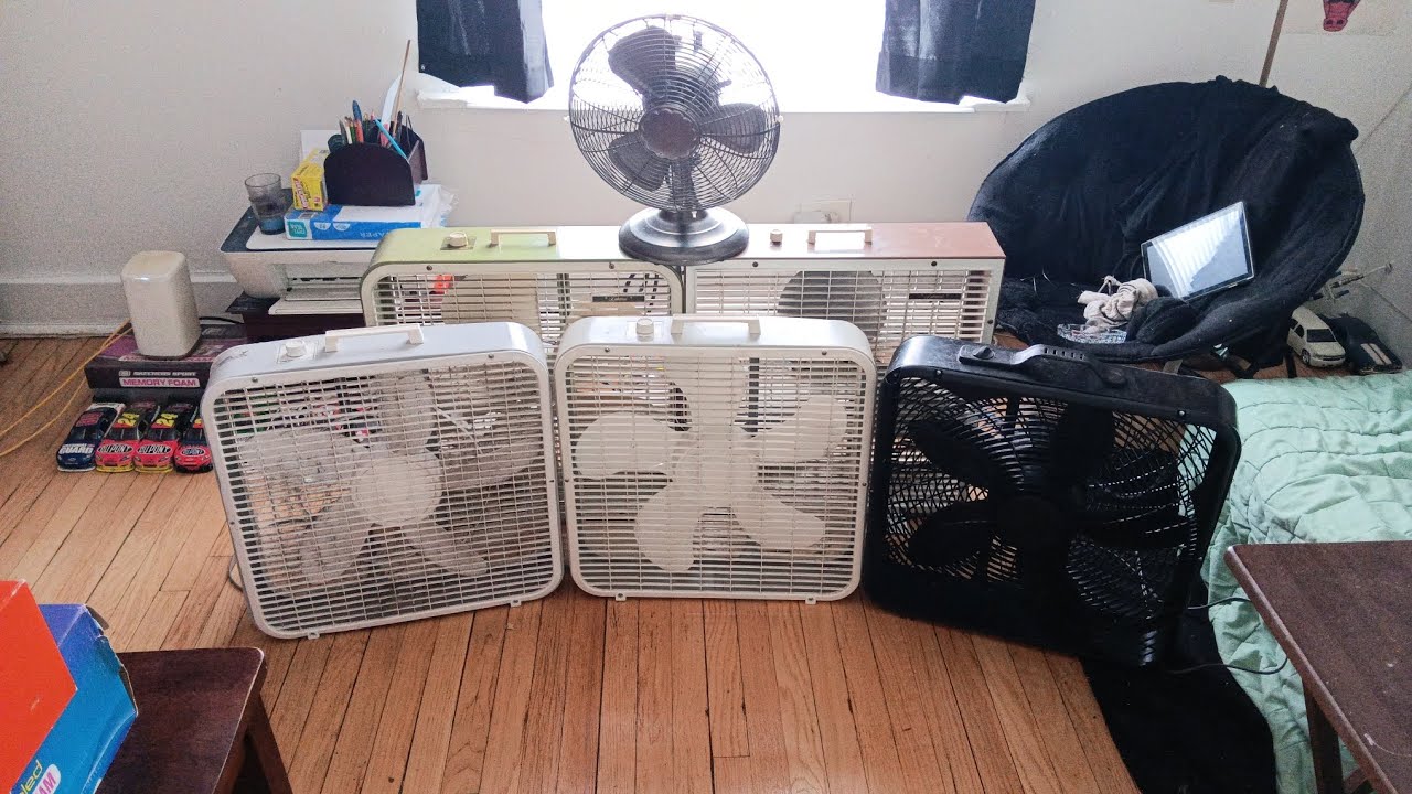 All my Fans Start up of 2024