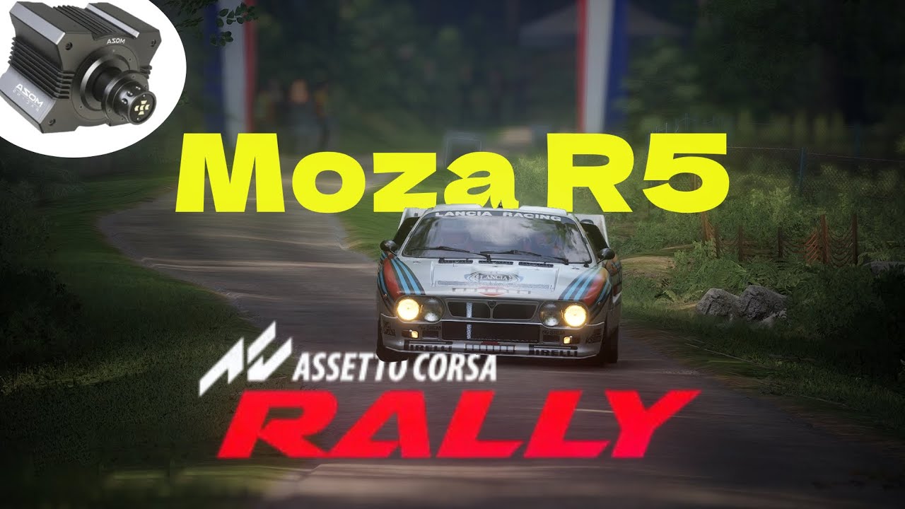 Assetto Corsa Rally - PERFECT Moza R5 Settings