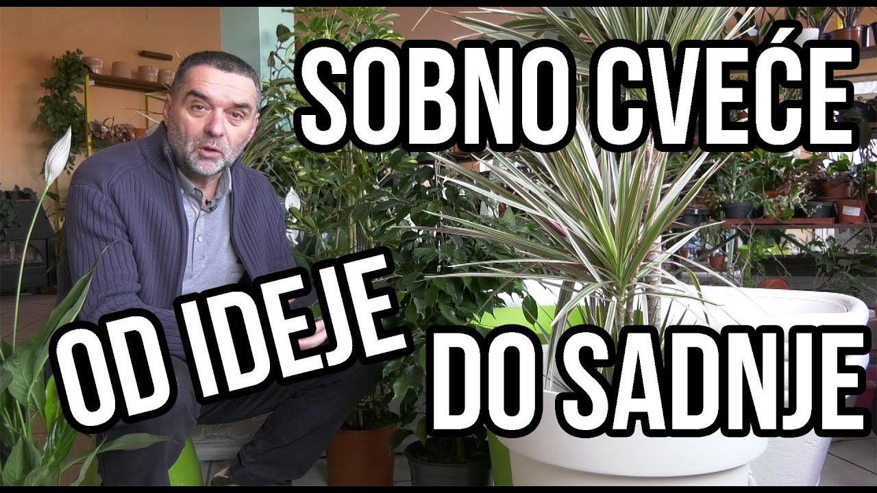 Sobno cveće - 3 osnovna saveta