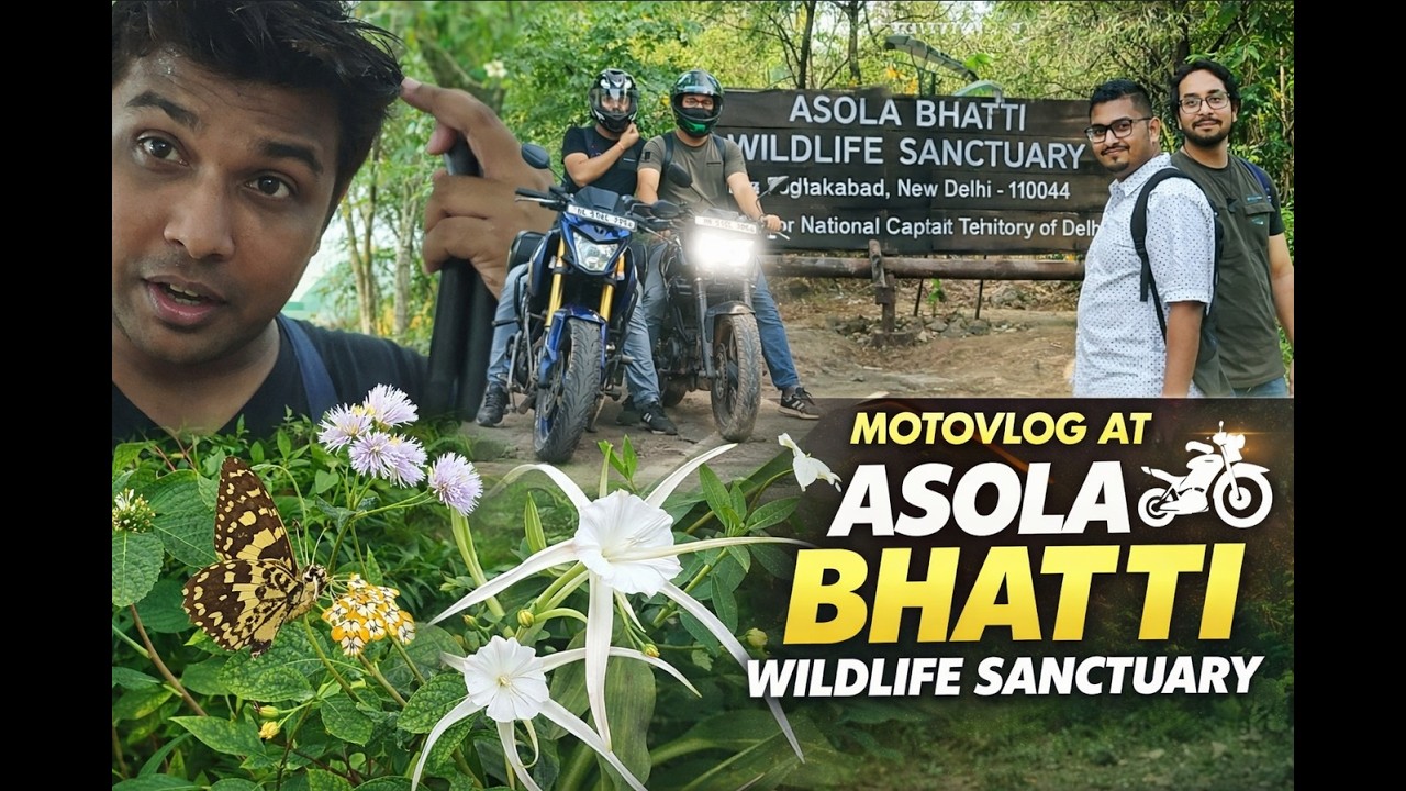 Butterfly Park at Asola Bhatti Wildlife Sanctuary #Butterflypark #nature #motovlog