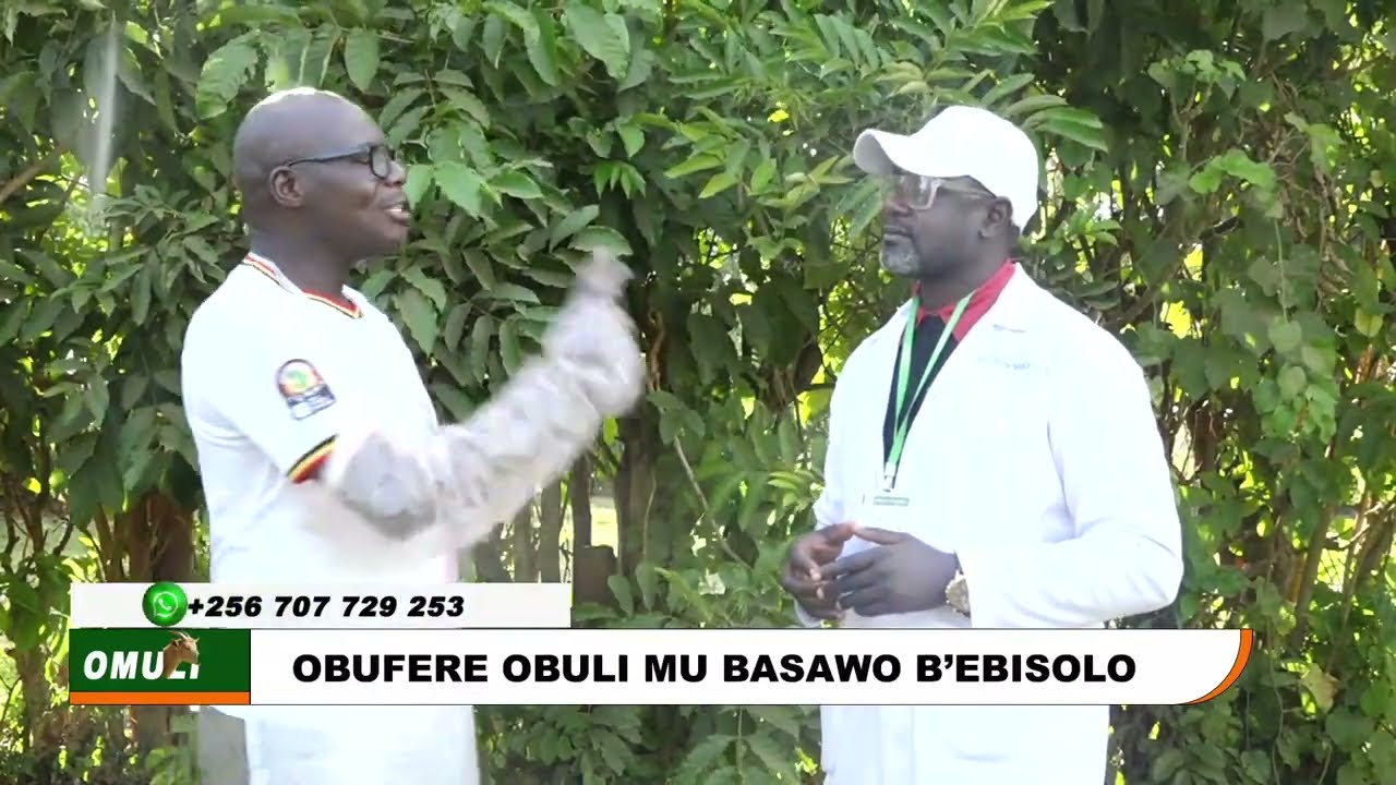 DONKEY FARMINGIN UGANDA