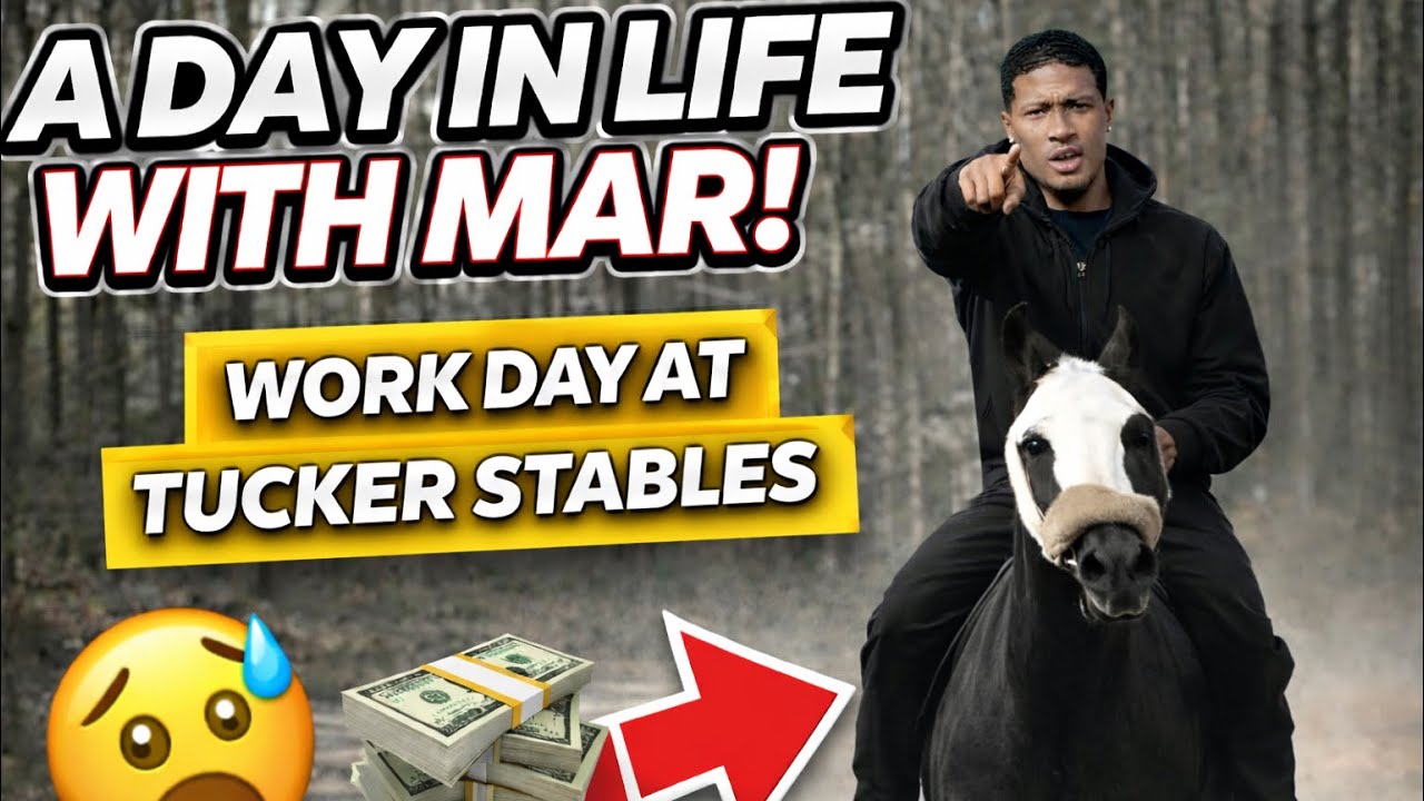 How To Train Your Standardbred Horse To Leave/ Slight Workout Before Race! 