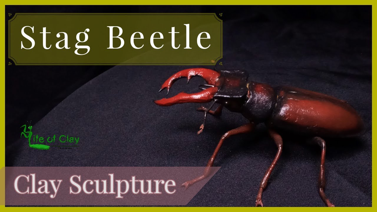 Скульптура жука-оленя (Lucanus cervus) из полимерной глины. Жизнь из глины.