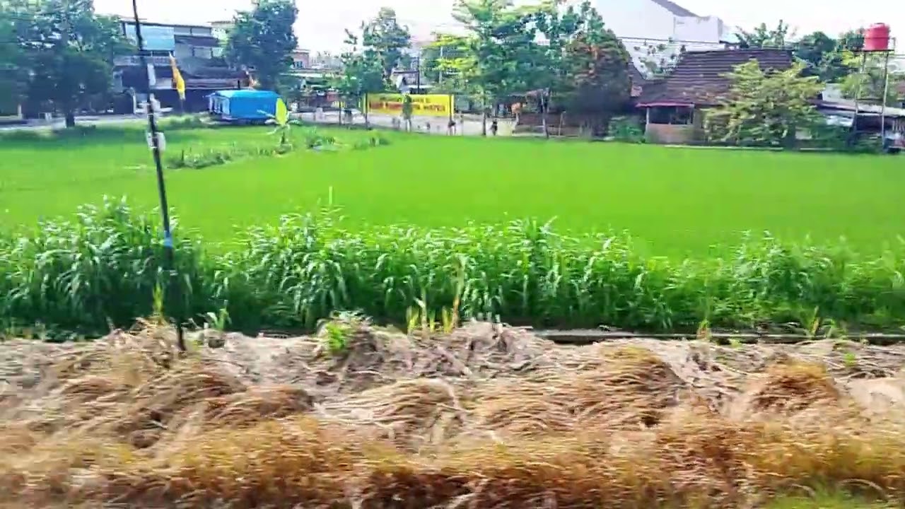 Part 7 naik joglosemarketo ke Jogjakarta 