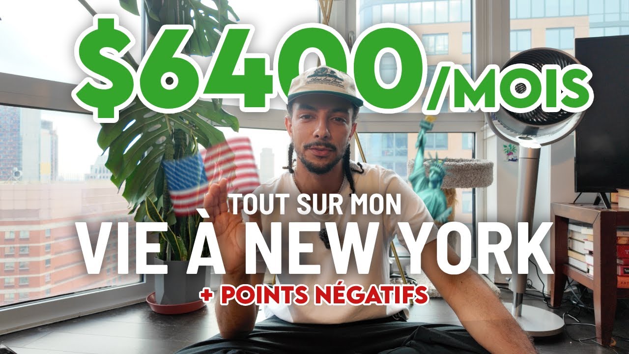 🇺🇸 VIE &agrave; New York : (Mon Salaire, parcours, points n&eacute;gatifs...)