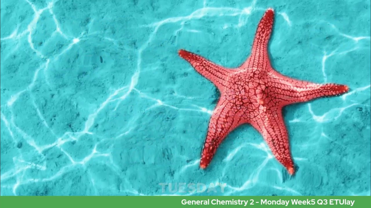 General Chemistry 2  - Monday Week4 Q3 ETUlay
