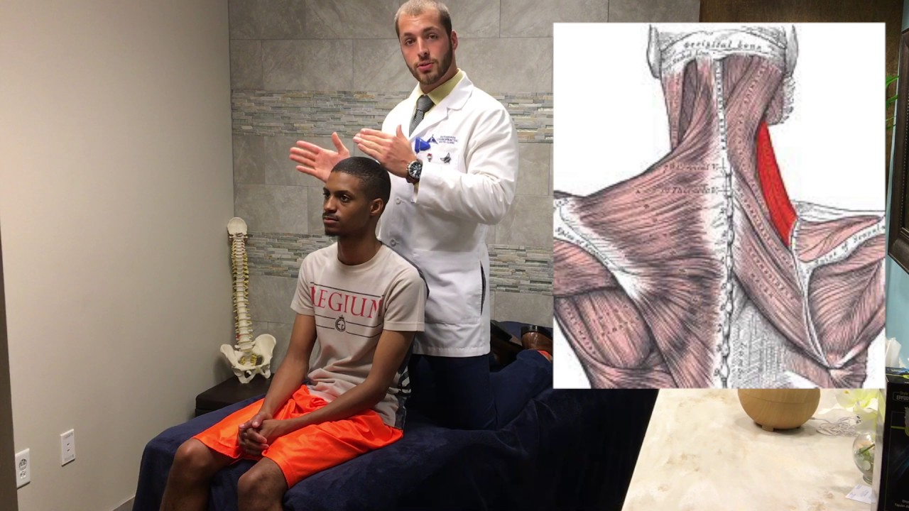 E:6 - Upper Trapezius and Levator Scaplua Post Isometric Relaxation
