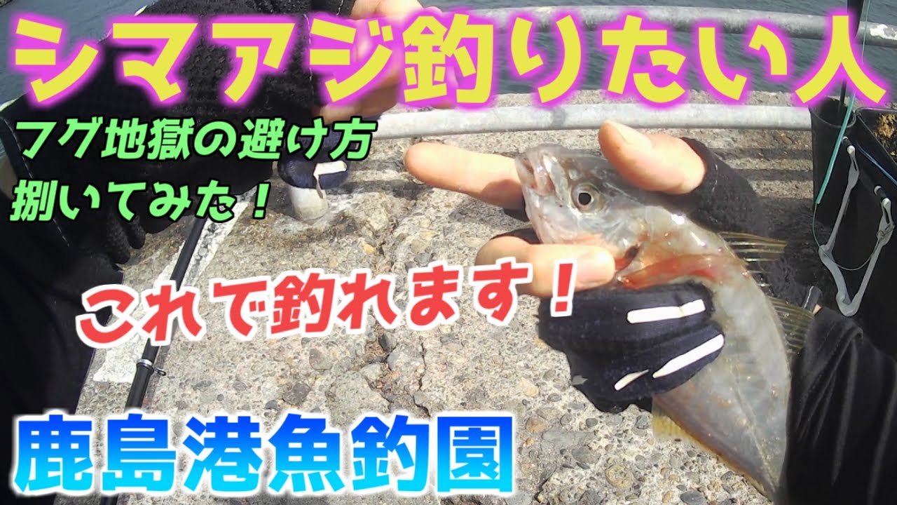 【鹿島港魚釣園】激安の竿でシマアジ爆釣！釣ってみたい人は観てほしい！