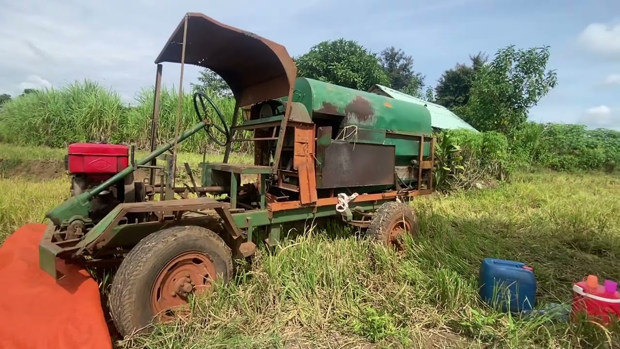 Mua gạt lua đã tới 