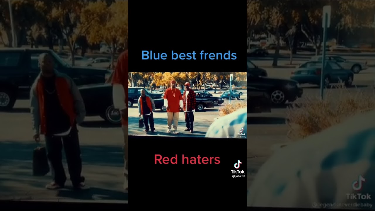 Blue Gang vs Red Gang 🔴🔵
