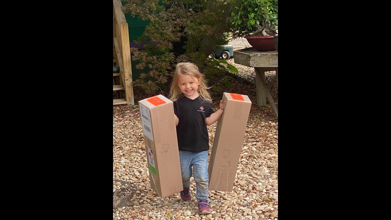 How We Ship Our Japanese Maples and Conifers Part 1