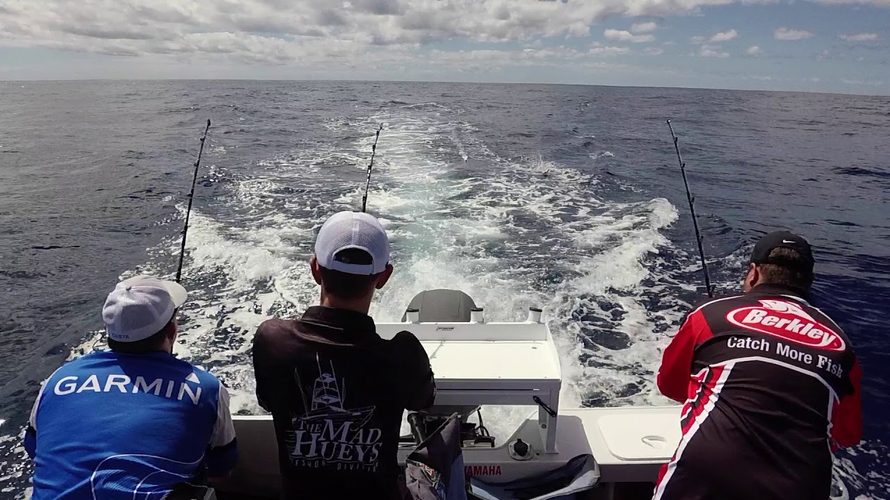 Toby's Marlin hook up on Kraken