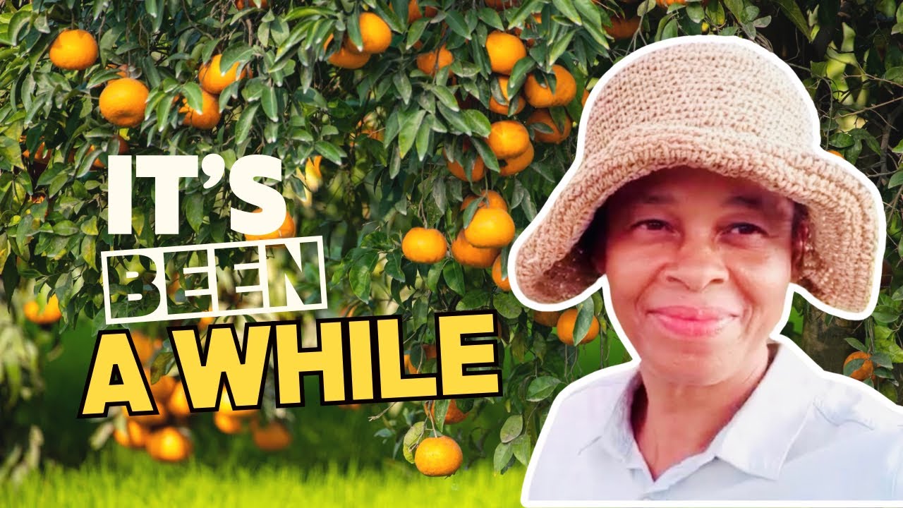 COUNTRY LIVING IN THE CARIBBEAN | SDA COUNTRY LIVING