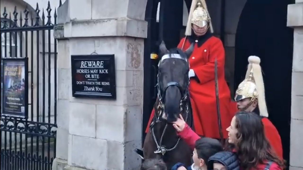 Horse biting fingers and guard shouts at tourist #horseguardsparade