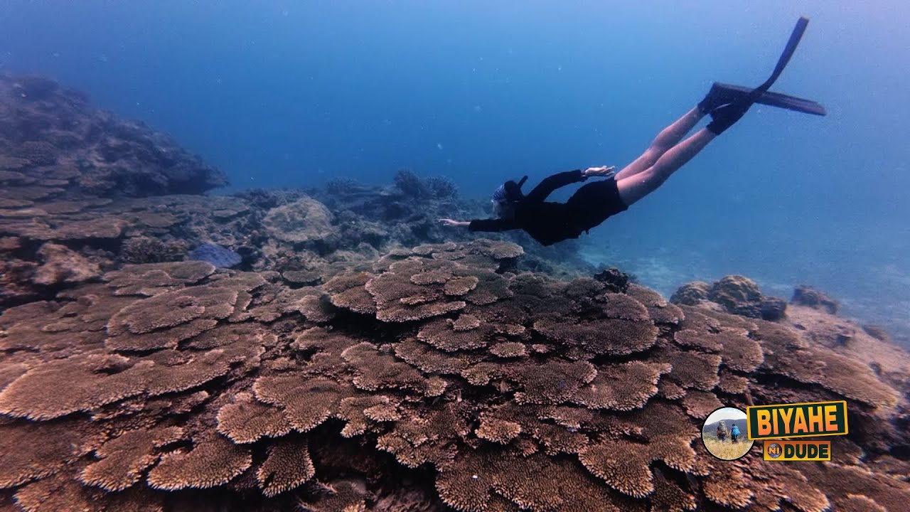 CAGBALETE ISLAND  - MAUBAN, QUEZON | Aquazul Resort
