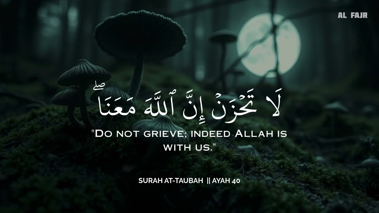 أرح سمعك.. تلاوة هادئة تريح القلب والعقل💚😴 | ساعة كاملة🕛🎧 القارئ سالم الرويلي | Salem Alruwaili