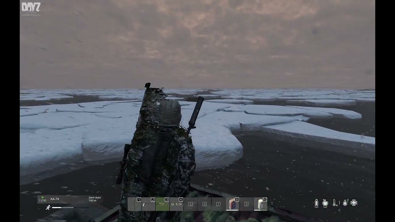 DayZ Exp 1.29