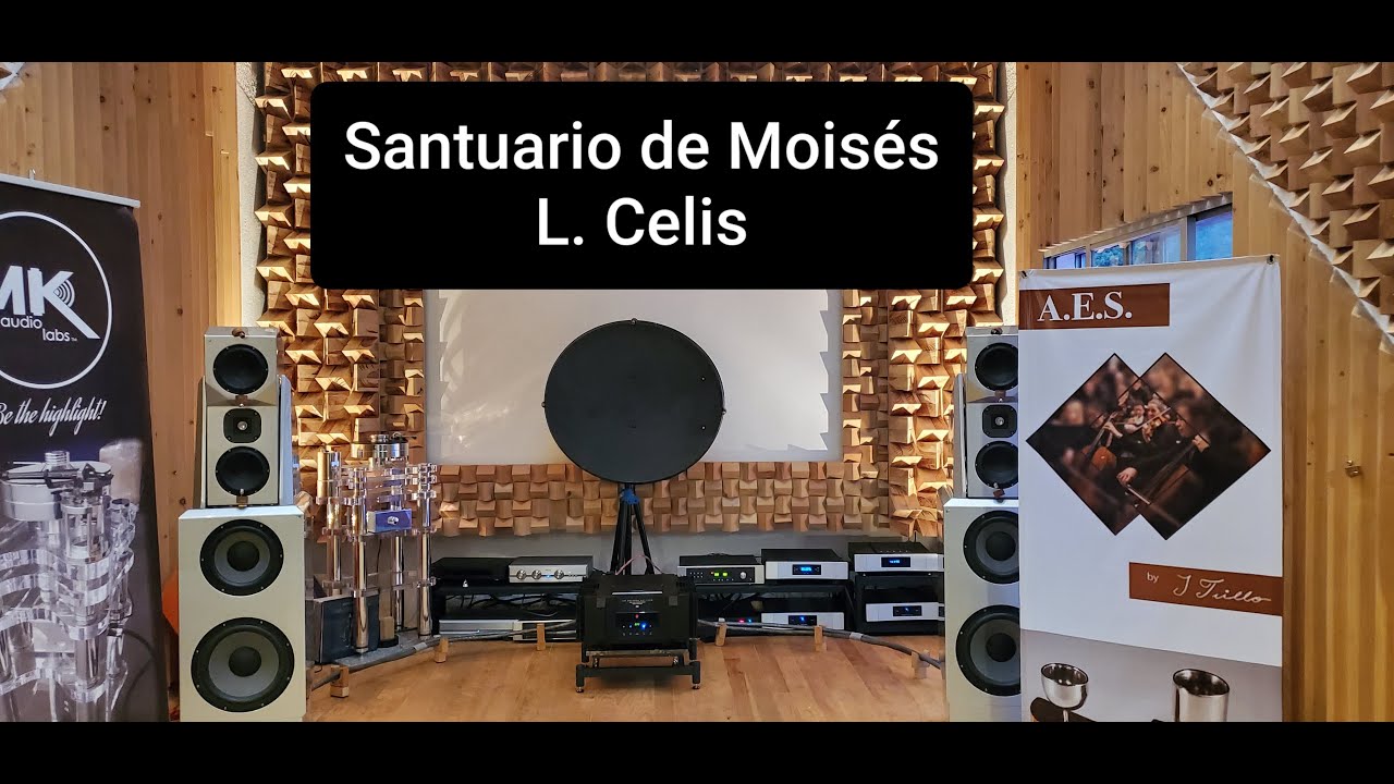 Sistema de Audio de Primer Nivel