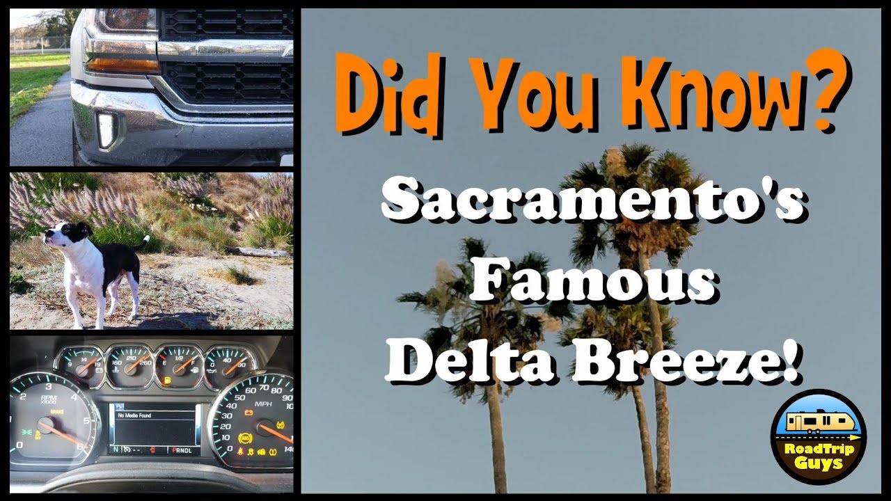 Road Trip Guys - Sacramento Famous Delta Breeze!