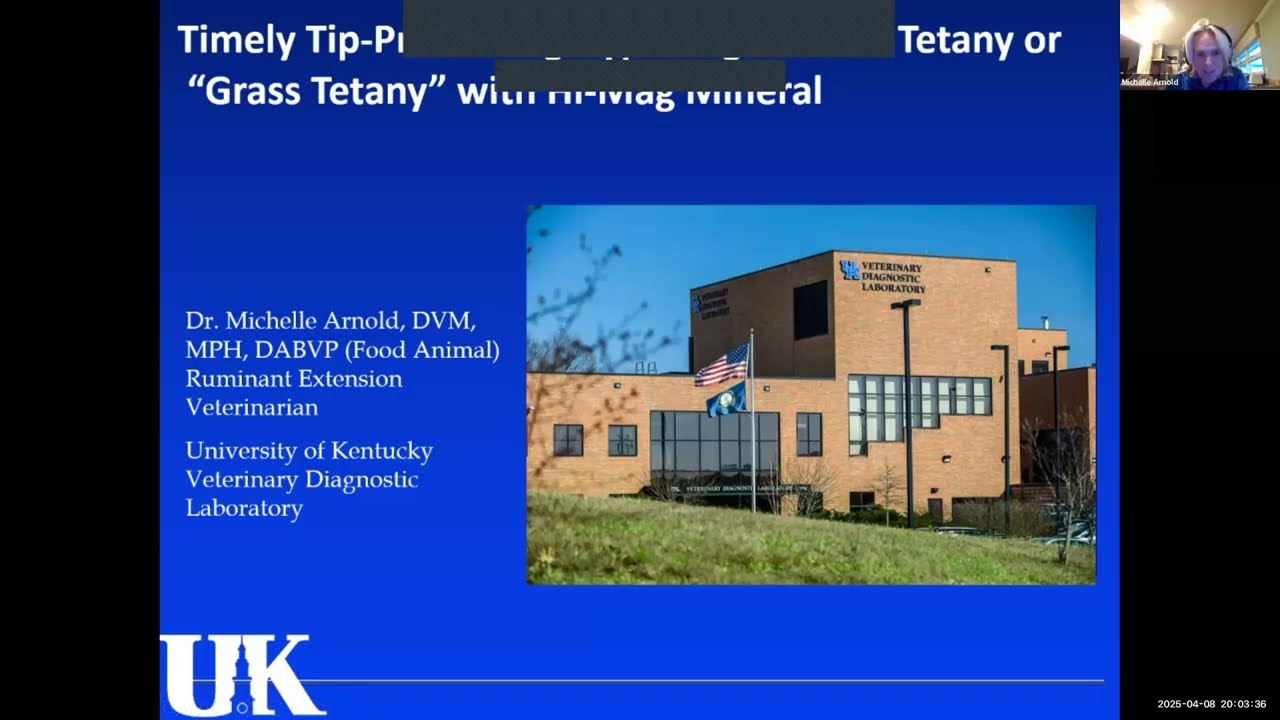 UK Beef Management Webinar - Health Update and Internal Parasite Field Study Results