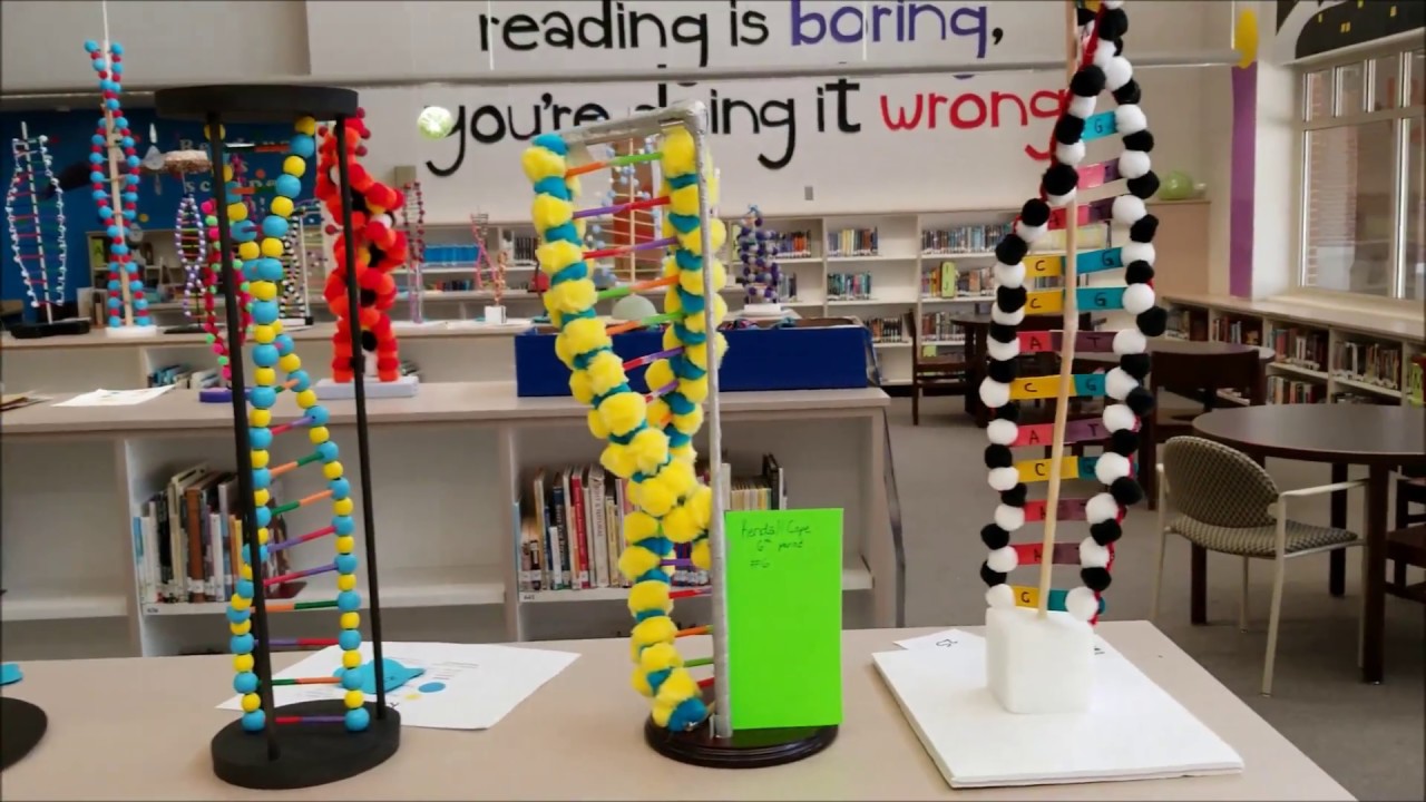 Mrs. Brown's science classes display their DNA projects