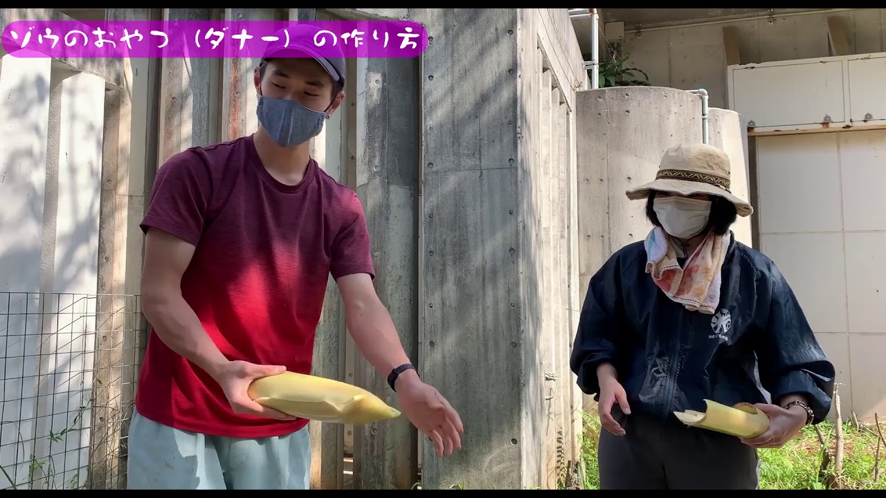 どうぶつたち【ゾウのおやつ（ダナー）の作り方】