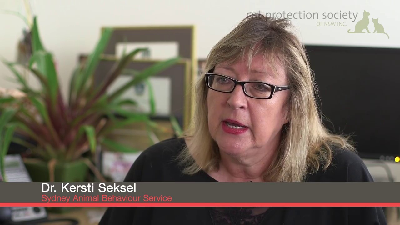 Early-age desexing - Health and welfare benefits