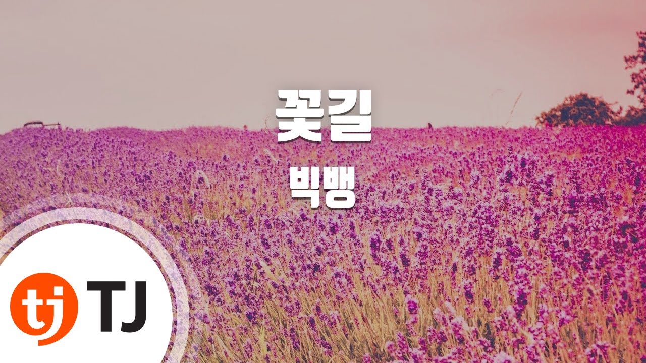 [TJ노래방 / 멜로디제거] 꽃길 - 빅뱅(Big Bang) / TJ Karaoke