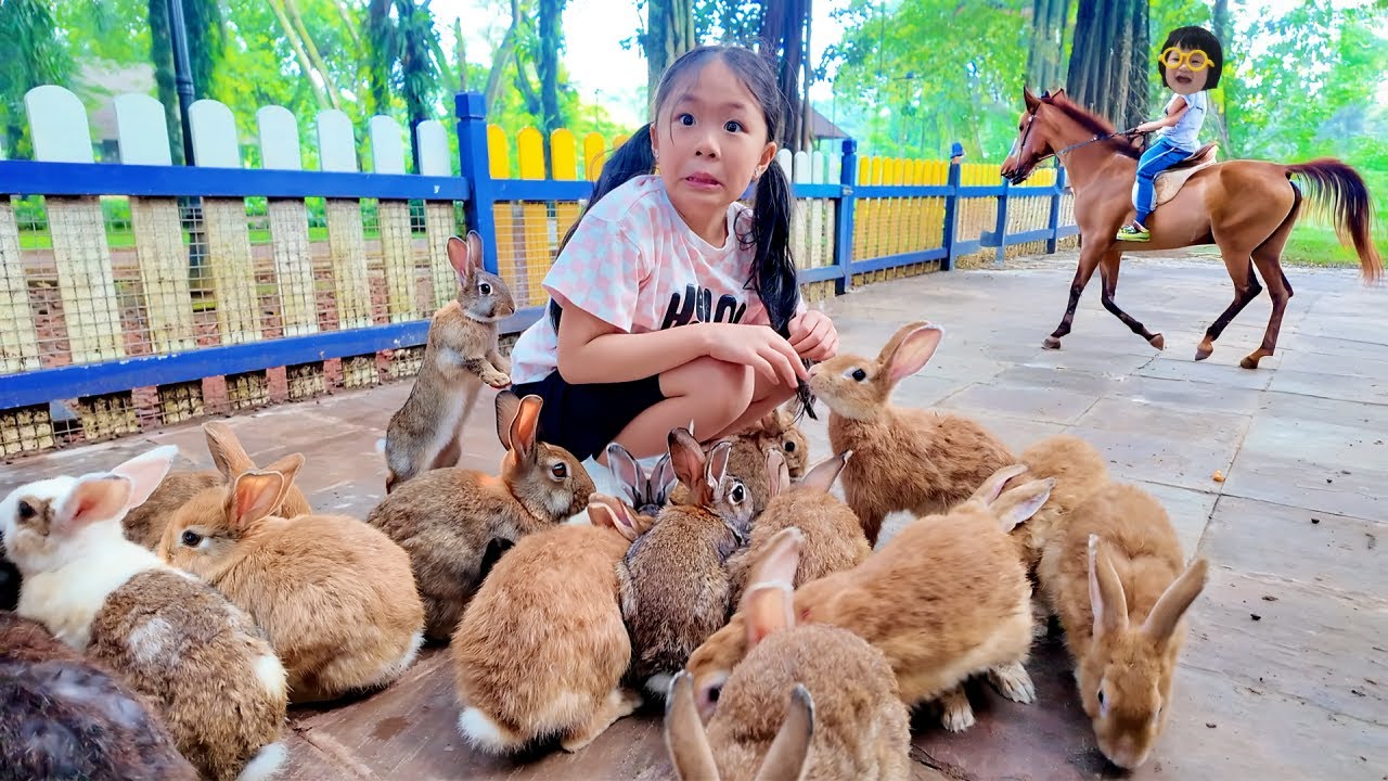 Kasih Makan Kelinci, Naik Kuda dan Perang Bantal Seru Banget
