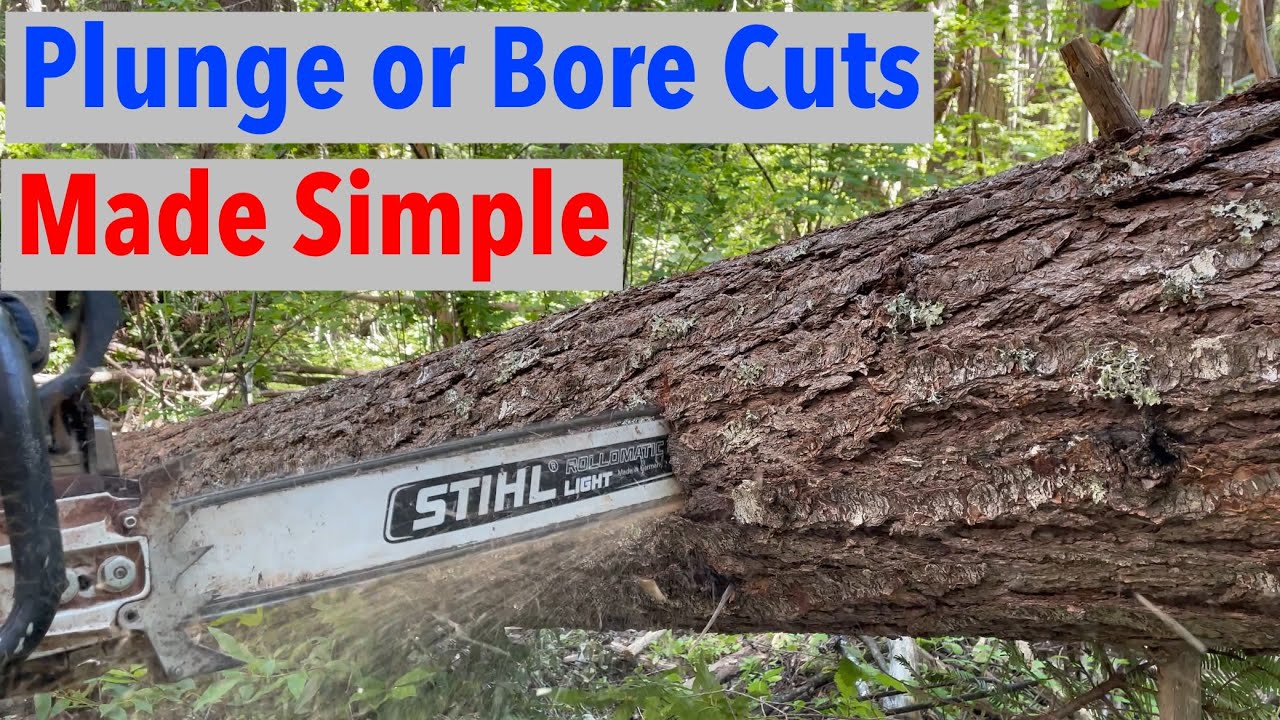 How to Plunge Cut Bore Cut With Chainsaw Safely